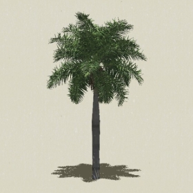 ���ֲ��-Sketchup��ͼ��ʦEnscape����ģ��2022051162