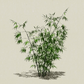 ����-Sketchup��ͼ��ʦEnscape����ģ��2022051112