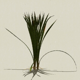 ��-Sketchup��ͼ��ʦEnscape����ģ��2022051175