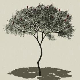 ��ľ��ľ-Sketchup��ͼ��ʦEnscape����ģ��2022051132