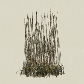 ��-Sketchup��ͼ��ʦEnscape����ģ��2022051132