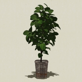 ����ֲ��-Sketchup��ͼ��ʦEnscape����ģ��20220511117