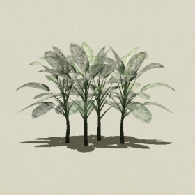 ��ľ-Sketchup��ͼ��ʦEnscape����ģ��2022051132