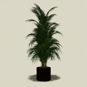 ����ֲ��-Sketchup��ͼ��ʦEnscape����ģ��20220511113