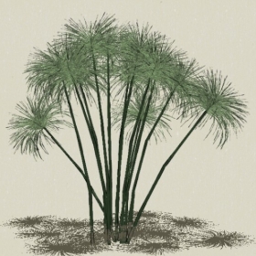 ��-Sketchup��ͼ��ʦEnscape����ģ��2022051117