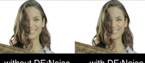 REVisionFX DE:Noise v3.1 for After Effects and Premiere Pro (Mac OS X)