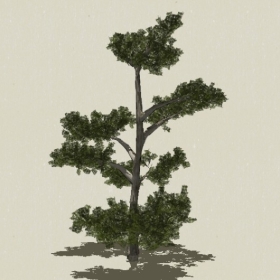 �辰ֲ��-Sketchup��ͼ��ʦEnscape����ģ��20220511116