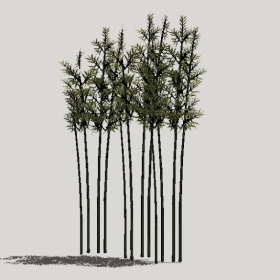 ����_Enscape���ʲ�ͼ��ʦģ���������202204204972