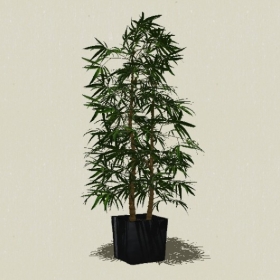 ����ֲ��-Sketchup��ͼ��ʦEnscape����ģ��20220511355