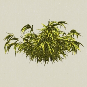 ��ľ-Sketchup��ͼ��ʦEnscape����ģ��20220511115