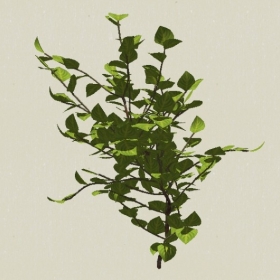 ��ľ-Sketchup��ͼ��ʦEnscape����ģ��2022051171