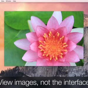 LilyView for mac 1.1 轻量级 多功能图片浏览器
