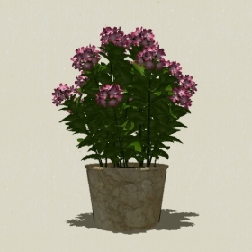 ����ֲ��-Sketchup��ͼ��ʦEnscape����ģ��20220511283