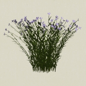 ����-Sketchup��ͼ��ʦEnscape����ģ��2022051197