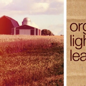 FCPeffects – Organic Light Leaks for FCP X 最新绿化版 完整版