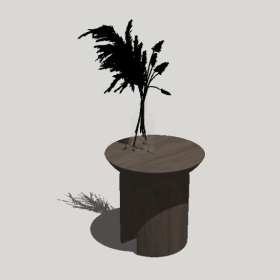 �輸�߼�_Sketchup��ͼ��ʦģ��Enscape����220204261594