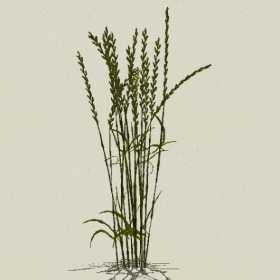 ��-Sketchup��ͼ��ʦEnscape����ģ��2022051166