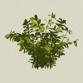 ��ľ-Sketchup��ͼ��ʦEnscape����ģ��20220511123