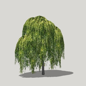草图大师模型植物简模齐全2022年1226