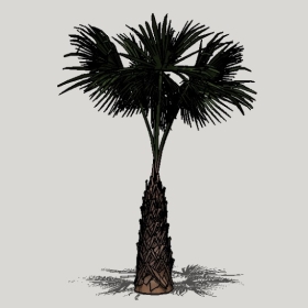 ���ֲ��_Enscape���ʲ�ͼ��ʦģ���������202204205543