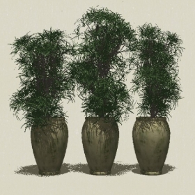 ����ֲ��-Sketchup��ͼ��ʦEnscape����ģ��20220511258