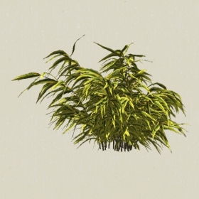 ��ľ-Sketchup��ͼ��ʦEnscape����ģ��2022051189