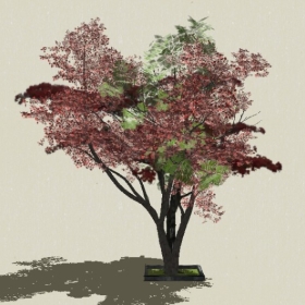 ��ľ��ľ-Sketchup��ͼ��ʦEnscape����ģ��2022051152