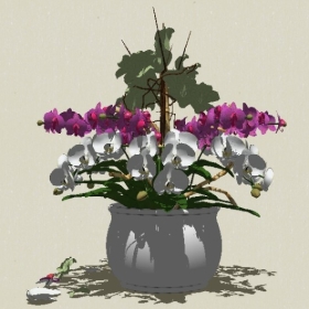 ����ֲ��-Sketchup��ͼ��ʦEnscape����ģ��20220511168