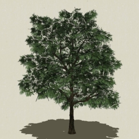 ��ľ-Sketchup��ͼ��ʦEnscape����ģ��2022051193