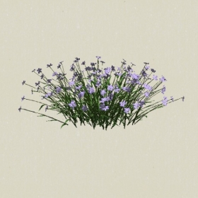 ����-Sketchup��ͼ��ʦEnscape����ģ��2022051196