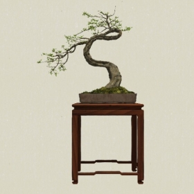 �辰ֲ��-Sketchup��ͼ��ʦEnscape����ģ��2022051196