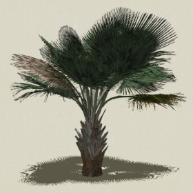 ���ֲ��-Sketchup��ͼ��ʦEnscape����ģ��2022051117