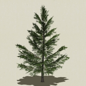 ��Ҷ��ľ-Sketchup��ͼ��ʦEnscape����ģ��2022051114