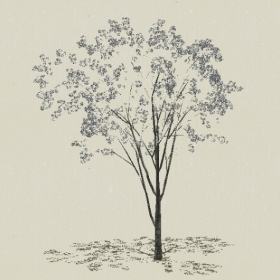 ��ľ��ľ-Sketchup��ͼ��ʦEnscape����ģ��2022051120