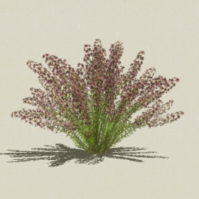 ����-Sketchup��ͼ��ʦEnscape����ģ��2022051126