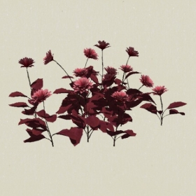 ����-Sketchup��ͼ��ʦEnscape����ģ��2022051182