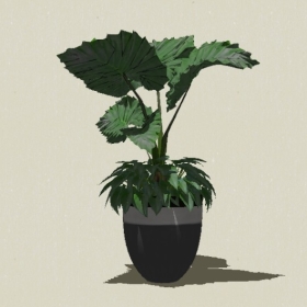 ����ֲ��-Sketchup��ͼ��ʦEnscape����ģ��202205115