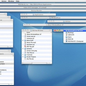 WindowMizer for mac 4.4.1 窗口管理 系统美化
