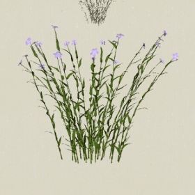 ����-Sketchup��ͼ��ʦEnscape����ģ��20220511103