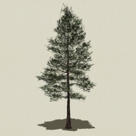 ��Ҷ��ľ-Sketchup��ͼ��ʦEnscape����ģ��202205118