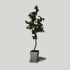 ����ֲ��_Sketchup��ͼ��ʦģ��Enscape����22020426464