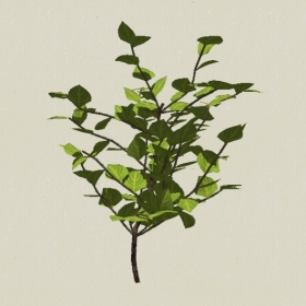 ��ľ-Sketchup��ͼ��ʦEnscape����ģ��2022051172