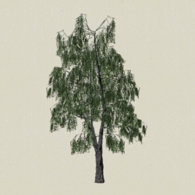 ��ľ-Sketchup��ͼ��ʦEnscape����ģ��20220511110