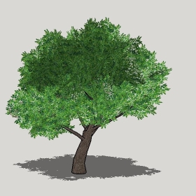 草图大师模型植物简模齐全2022年1277