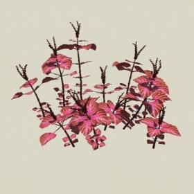 ��-Sketchup��ͼ��ʦEnscape����ģ��20220511109