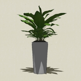 ����ֲ��-Sketchup��ͼ��ʦEnscape����ģ��20220511421