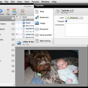 Yojimbo for mac 4.0.4 可靠的信息组织者