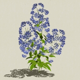 ����-Sketchup��ͼ��ʦEnscape����ģ��2022051125