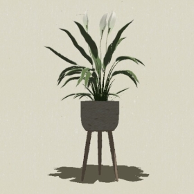 ����ֲ��-Sketchup��ͼ��ʦEnscape����ģ��2022051137