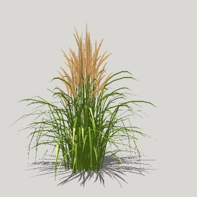 草图大师模型植物简模齐全2022年1263